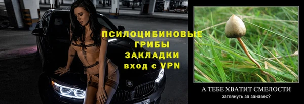 спиды Белокуриха