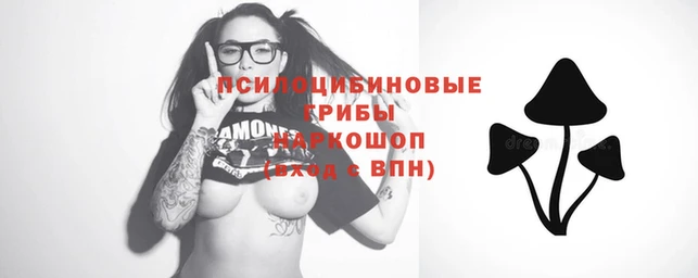 ECSTASY Козловка