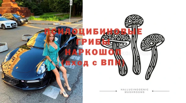 спиды Белокуриха