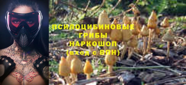 PSILOCYBIN Белоозёрский