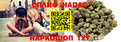 хмурый Пугачёв