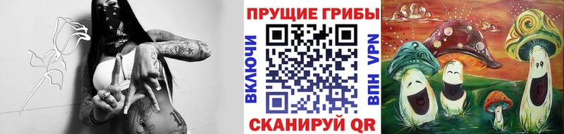 Галлюциногенные грибы ЛСД  гидра как войти  Славгород 