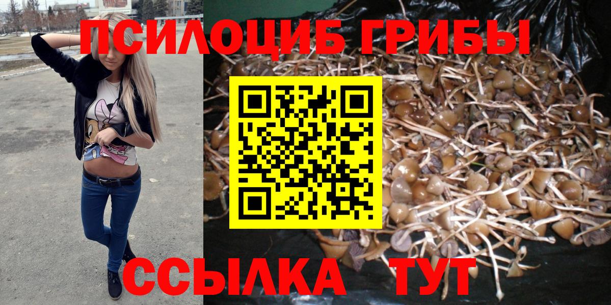 Галлюциногенные грибы MAGIC MUSHROOMS Славгород