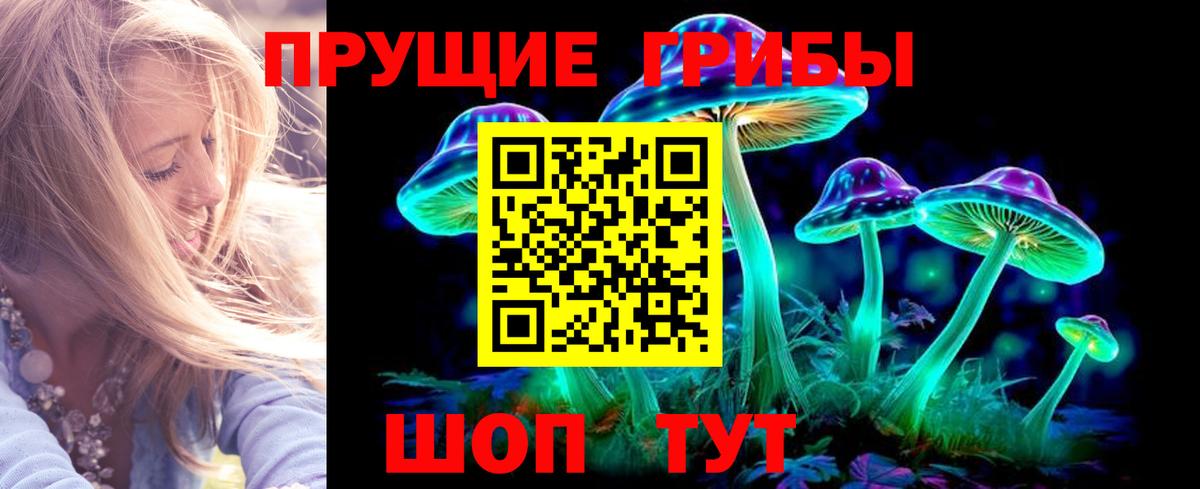 Славгород  Псилоцибиновые грибы Psilocybe  Галлюциногенные грибы Magic Shrooms  Вход с VPN 